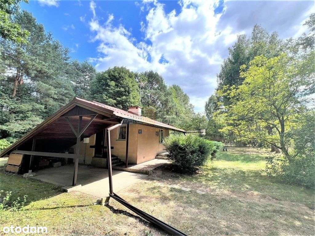 Urocza działka z domkiem - Wola Karczewska-5