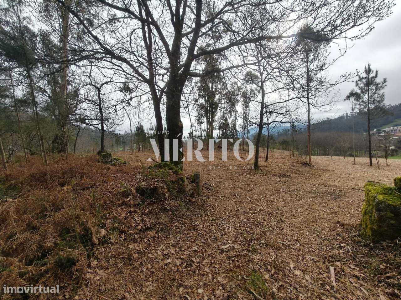 Terreno Agrícola com 10.760m2 em Cossourado frente ao Rio Neiva-16