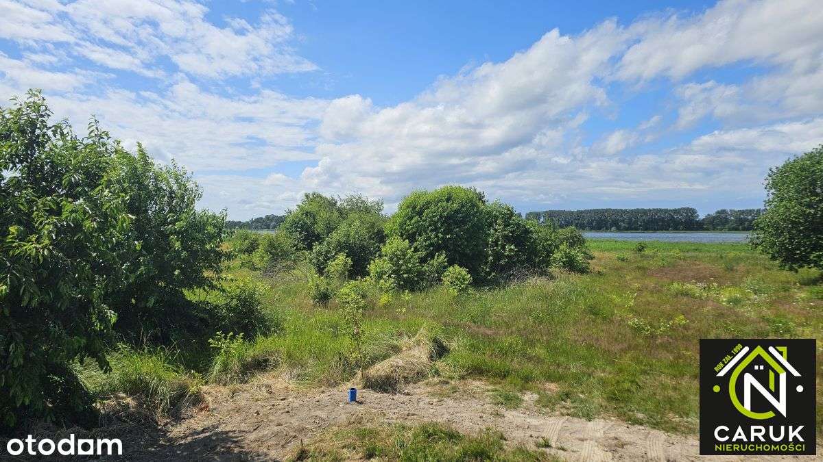 Działka rolna z dostępem do rzeki Dziwnej - Pełny obrazek: 5/10