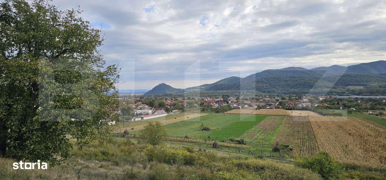 Vila la rosu, 240 mp, teren 93.000 mp - Șoimus - Imagine principală: 4/4