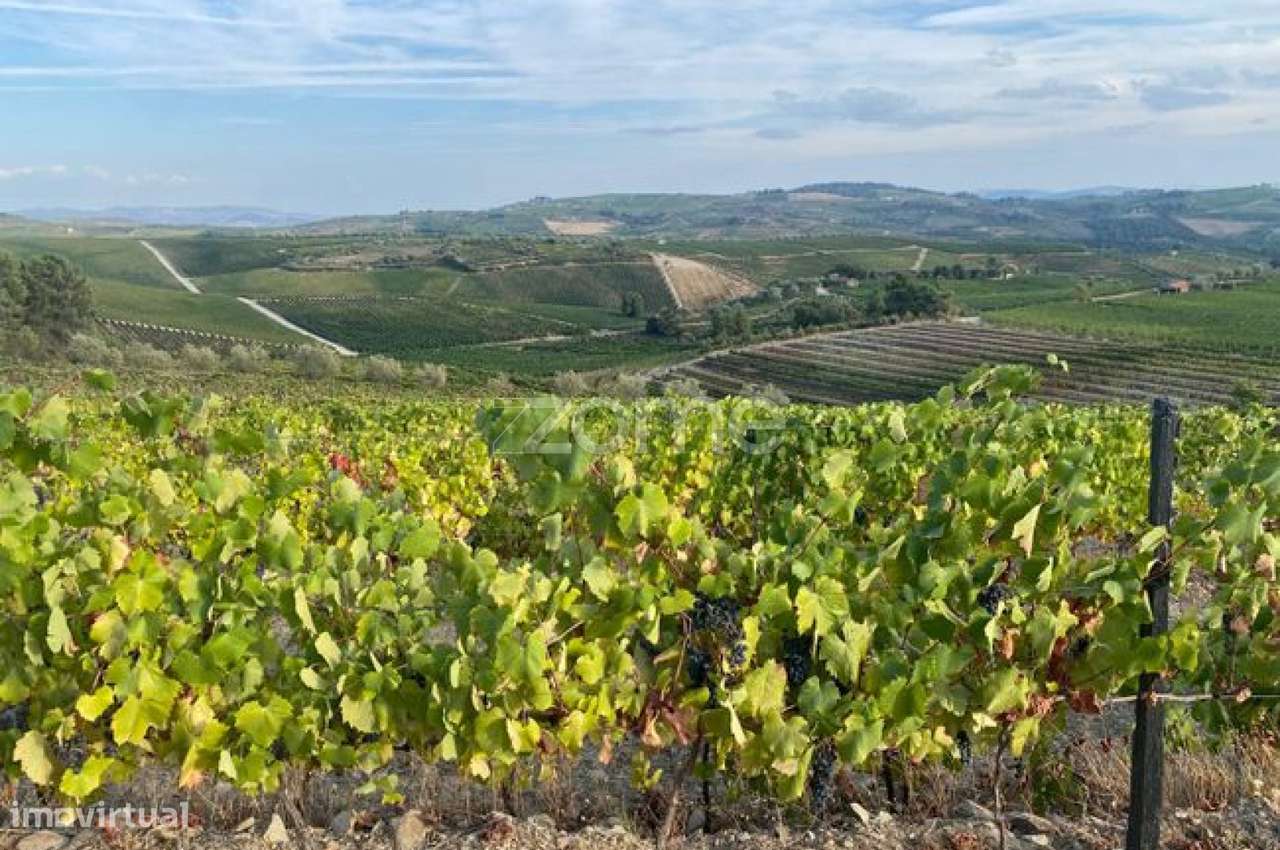 Terreno rústico com 34.330 m² de área - Grande imagem: 4/8