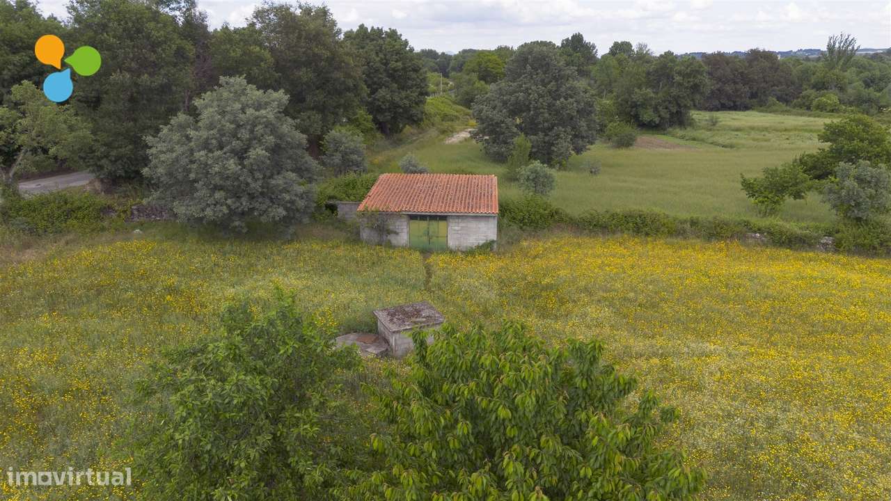 Quinta - Boidobra-11