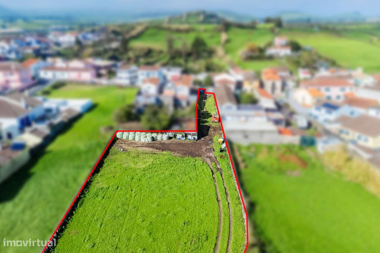 Terreno Rústico - Arrifes - Grande imagem: 2/13