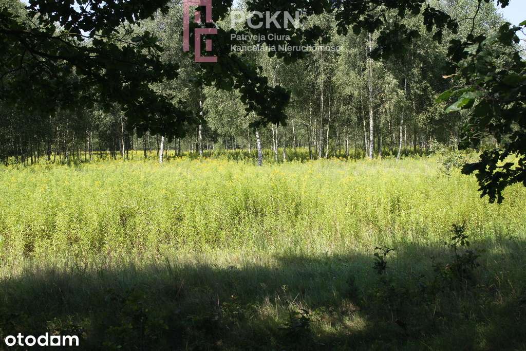 Idealne miejsce dla osób poszukujących spokoju - Pełny obrazek: 4/15