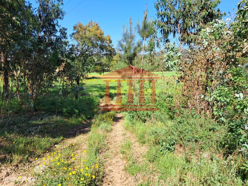 TERRENO PARA CONSTRUÇÃO - MARTIM - BARCELOS-5