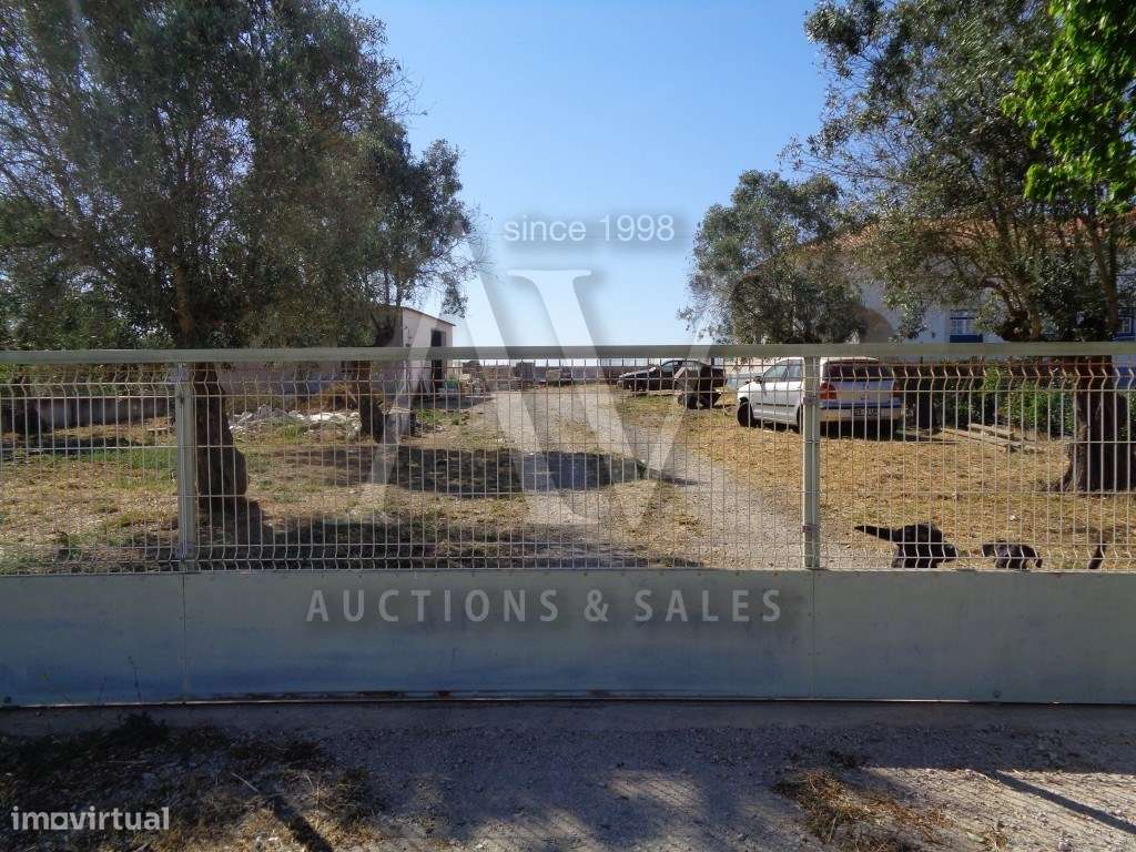 Terreno rústico - VÁRZEA - SANTARÉM |LEILÃO ELETRÓNICO| FIM 06*MAI - Grande imagem: 3/10