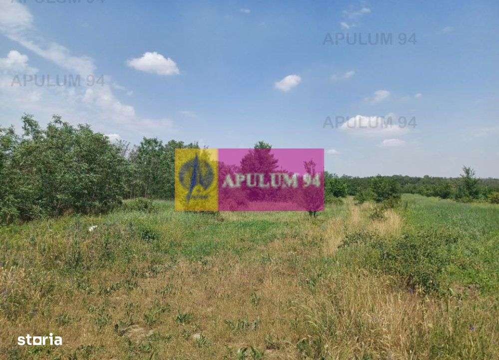 Săbăreni, teren 12620 mp pentru case, lângă pădure - Imagine principală: 4/5