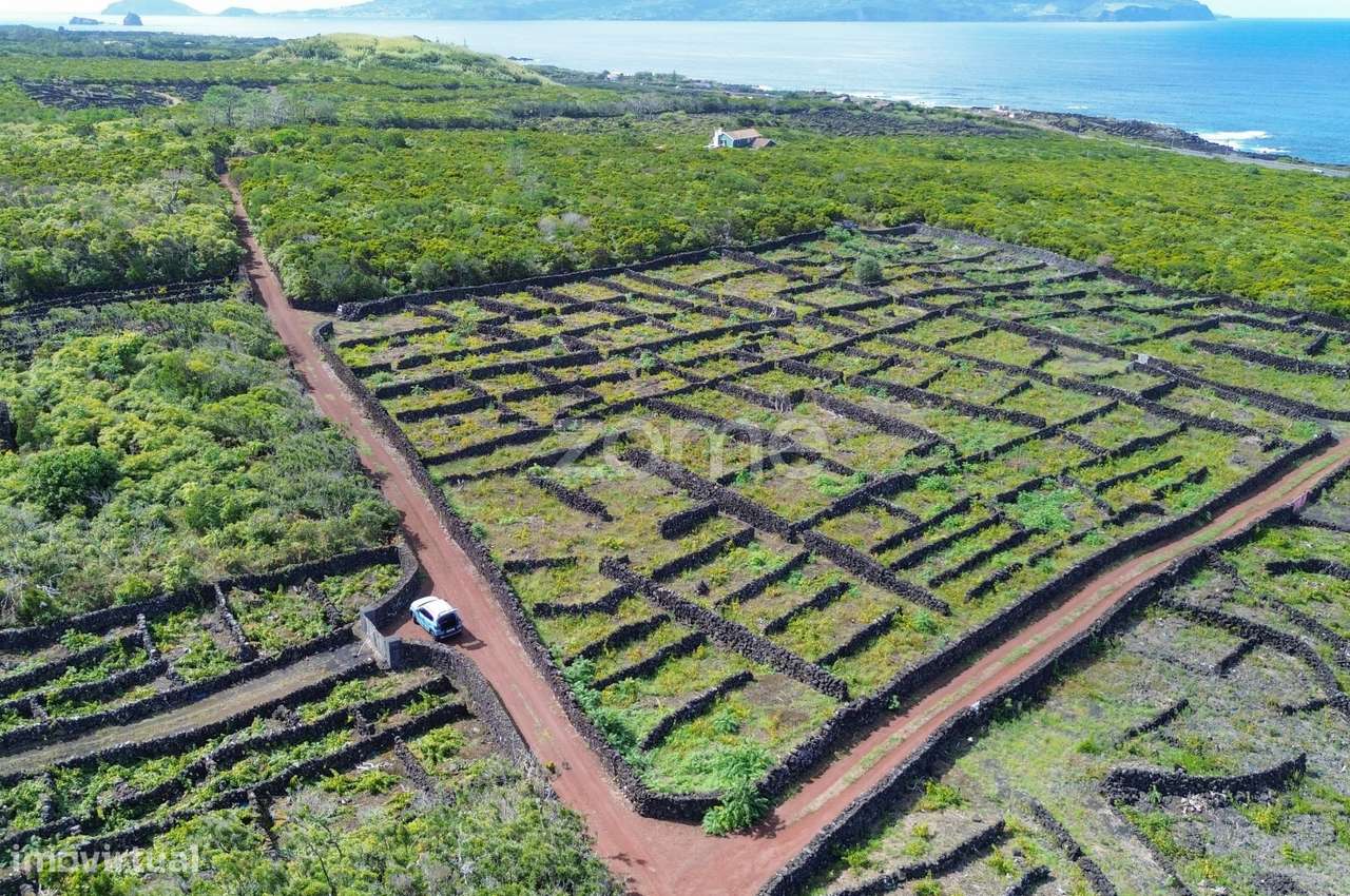Terrenos Vitivinícolas situados nas Bandeiras na Ilha do Pico - Grande imagem: 2/19