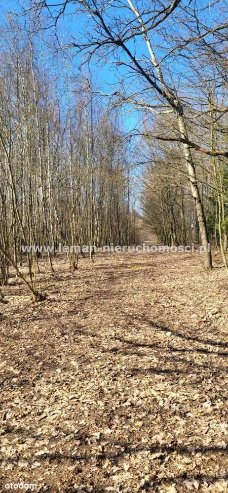 Działka, 5 539 m², Ryki-3