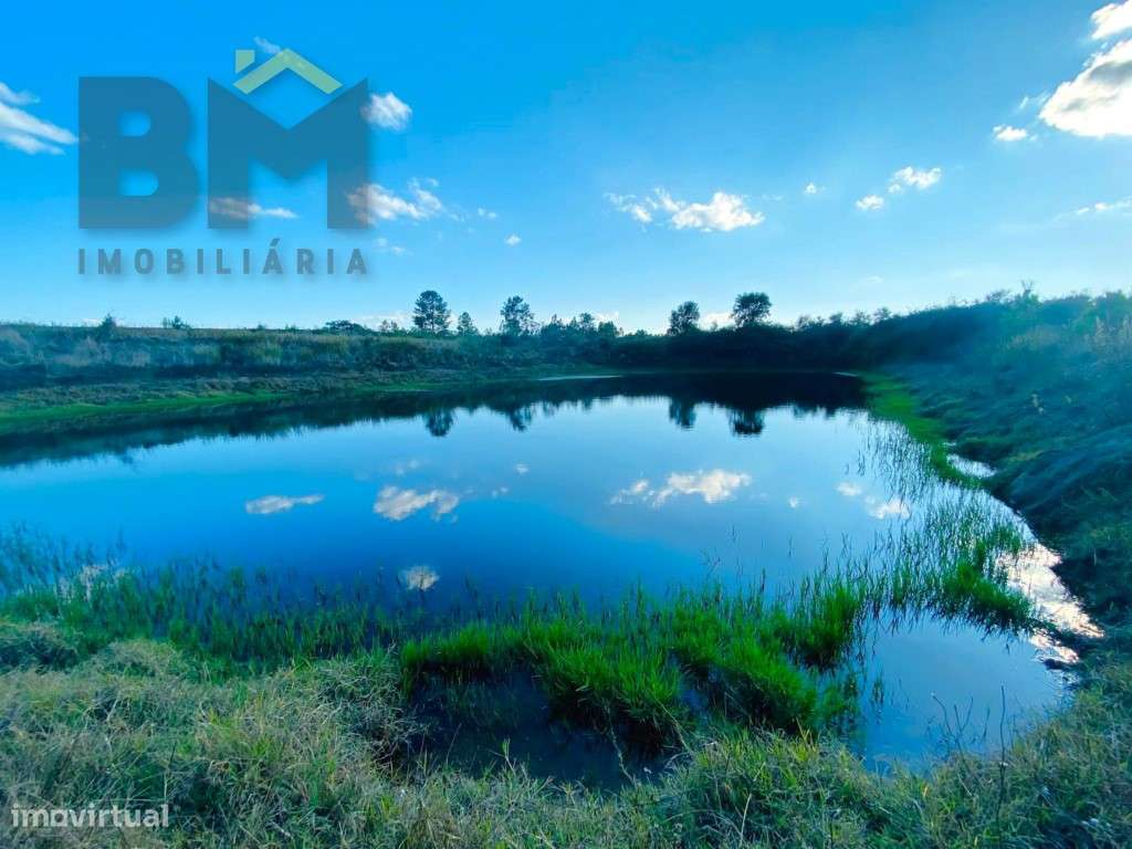 Terreno agrícola em Retaxo - Grande imagem: 2/10