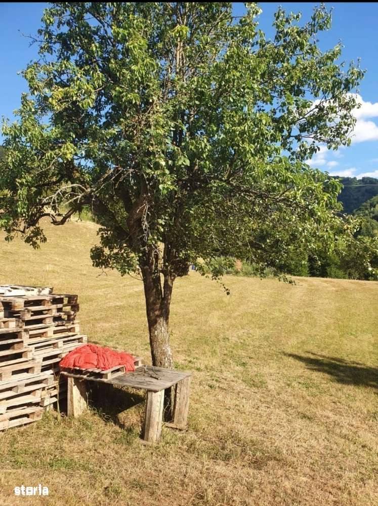 Teren intravilan 10.100 mp + Cabanuta amenajata - Imagine principală: 5/6