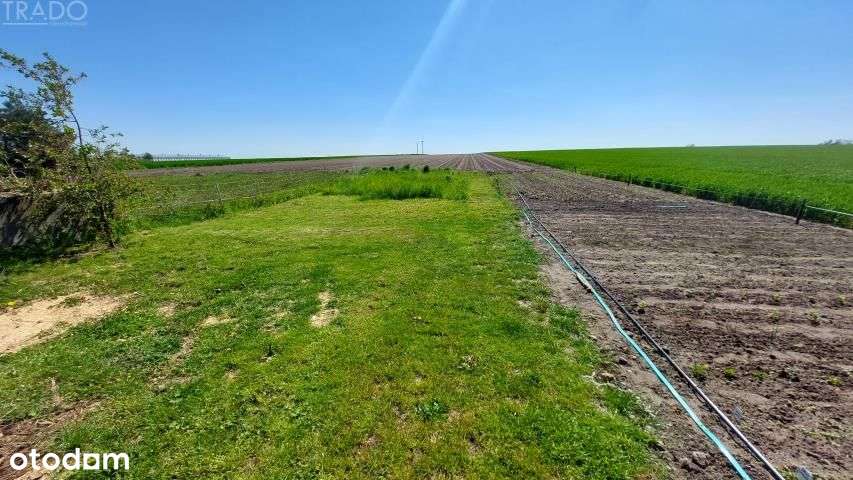 Dom Złotniki Małe, gm. Stawiszyn, pow. Kalisz-14