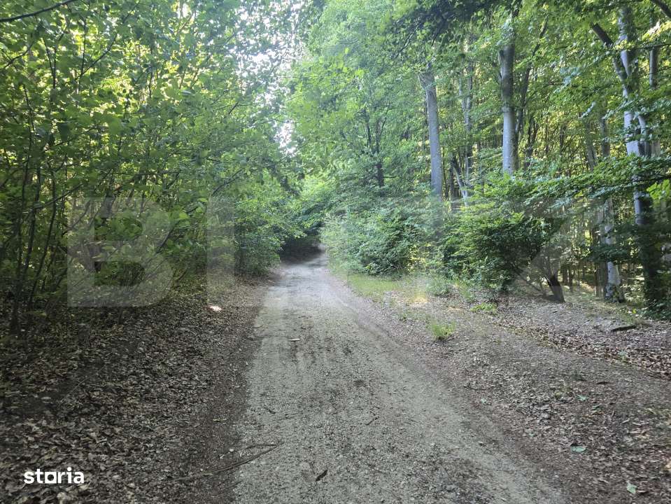 Teren de 524 mp  la liziera padurii Faget - Imagine principală: 4/7