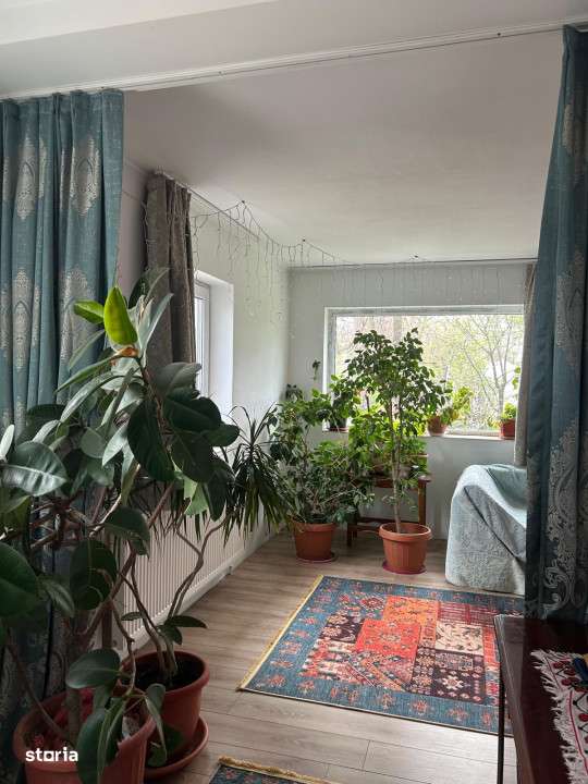 Casa + teren -centrala proprie -Cornetu -Ilfov - Imagine principală: 4/19