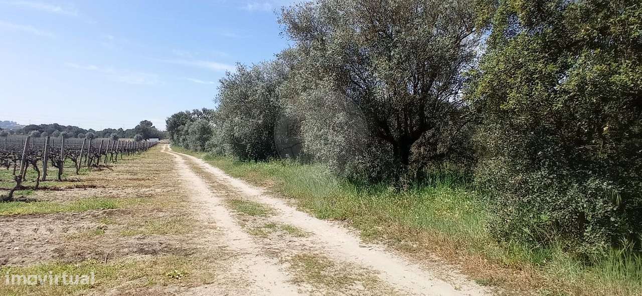 Terreno  para venda - Grande imagem: 4/9