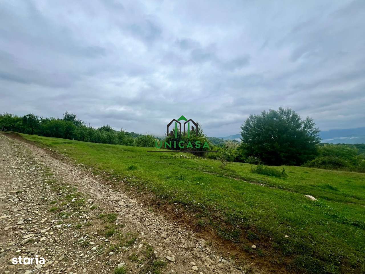 Teren 3507 mp/ Seaca/Calimanesti - Imagine principală: 4/4