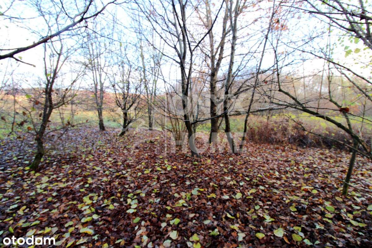 Duża działka pod zabudowę mieszkaniową, Mpzp-8