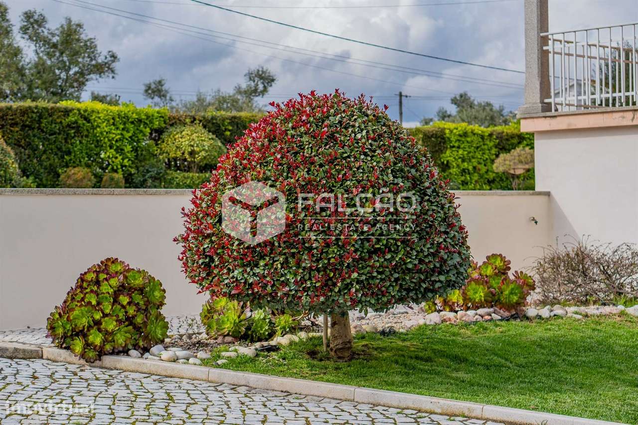 Moradia Isolada T3 Venda em Romeira e Várzea,Santarém - Grande imagem: 1/60