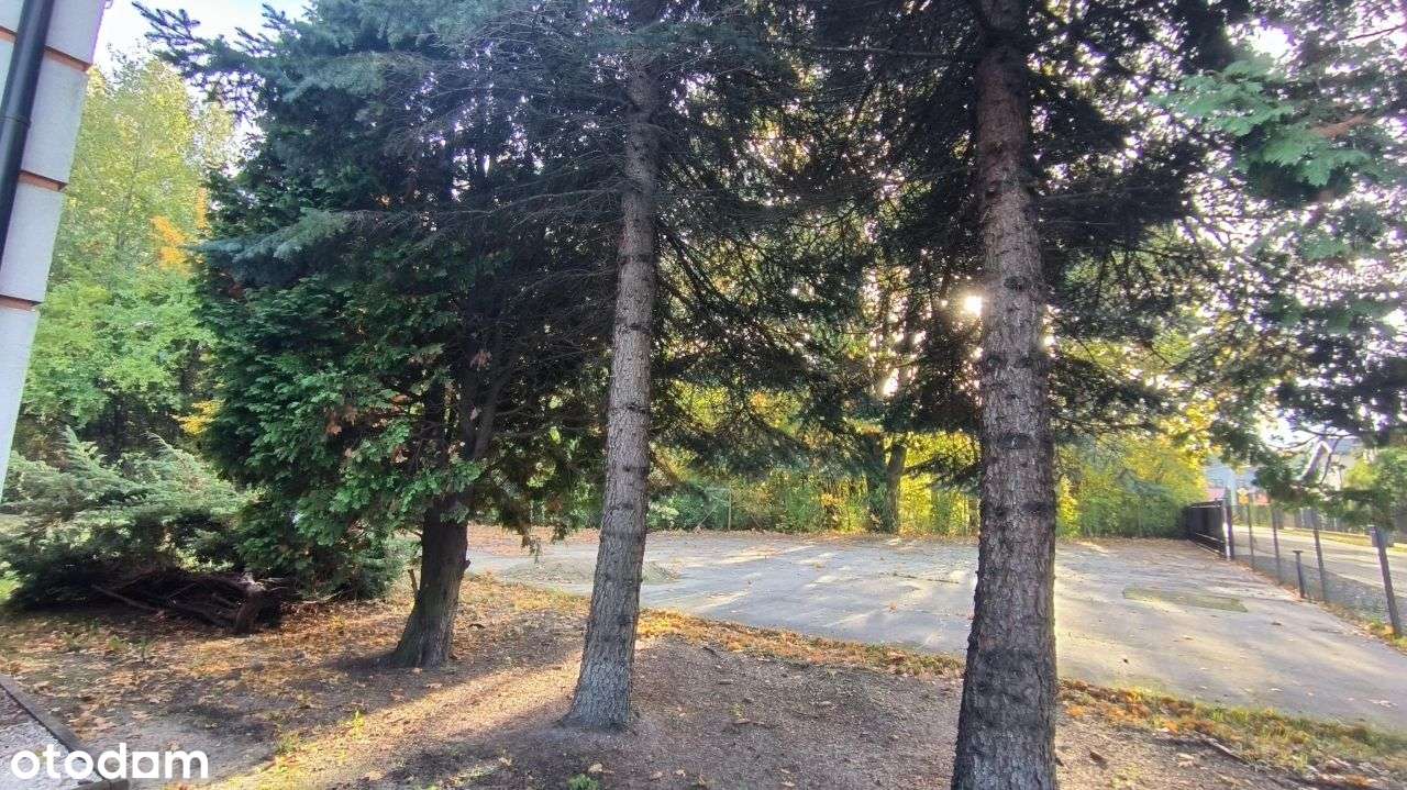 Piękna Działka. Przestronny Dom ok.200m2. - Pełny obrazek: 5/10