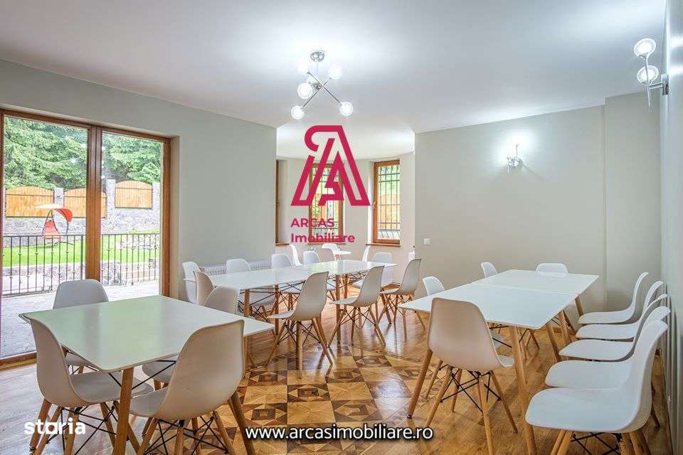 Afacere la cheie! Resedinta de lux- statiunea Paltinis!-9