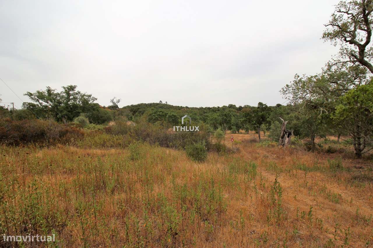 Propriedade Rural em São Francisco da Serra com 9,875000 ha e vista ma - Grande imagem: 3/40