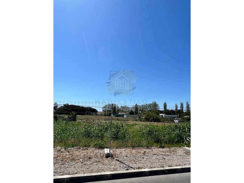 Terreno com projecto aprovado para residencial sénior - Grande imagem: 3/8