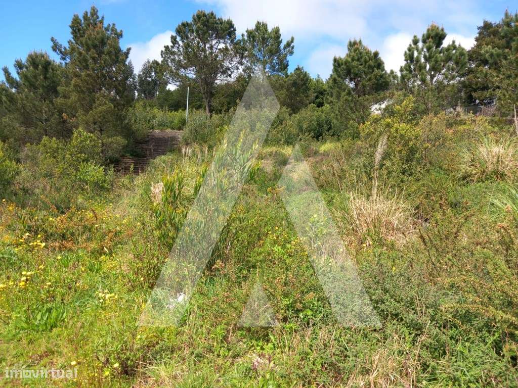 Terrenos para construção em Mozelos, Santa Maria da Feira-6