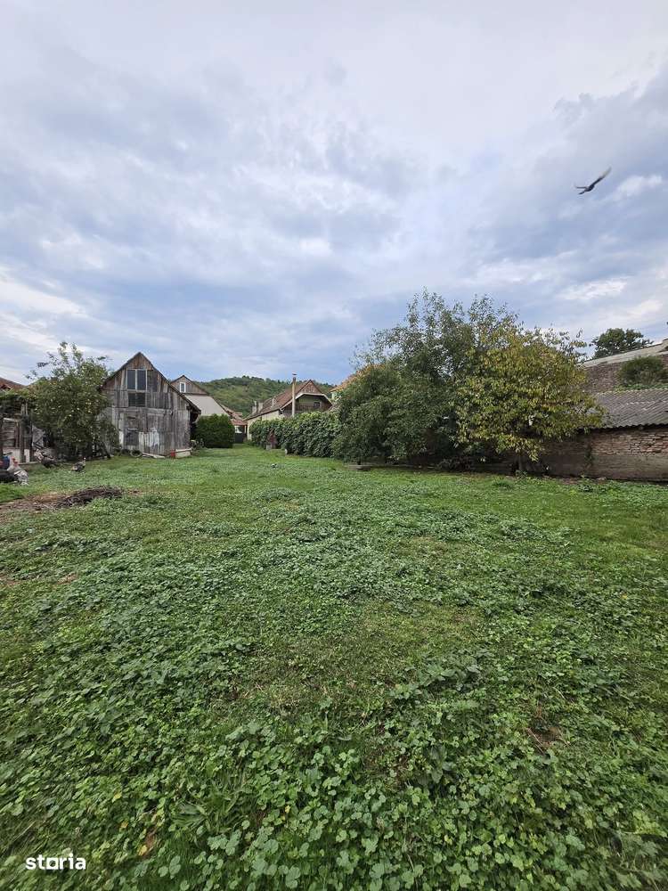 Casa de vanzare - Saros pe Tarnave-13