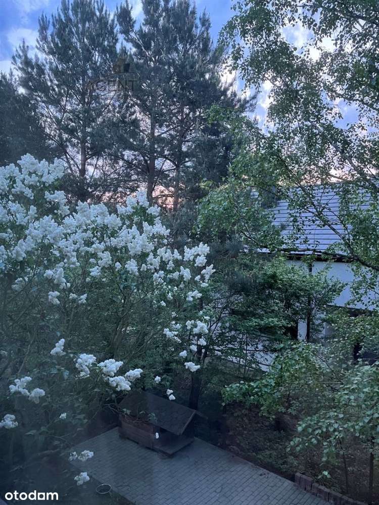 Dom w malowniczym zakątku Bydgoszczy!!!-6