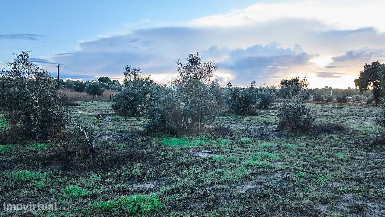Terreno  para venda-12