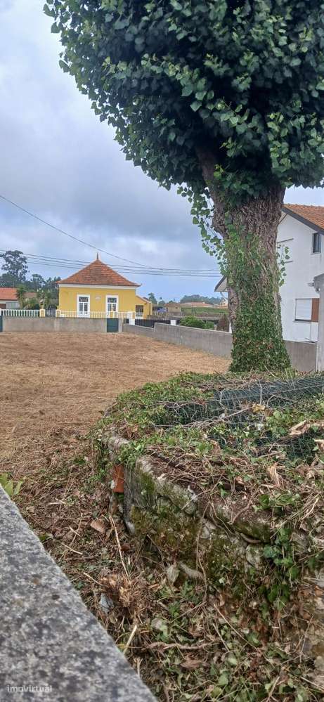 Terreno Exclusivo na Murtosa – 2.025m² de Potencial e Elegância - Grande imagem: 3/13
