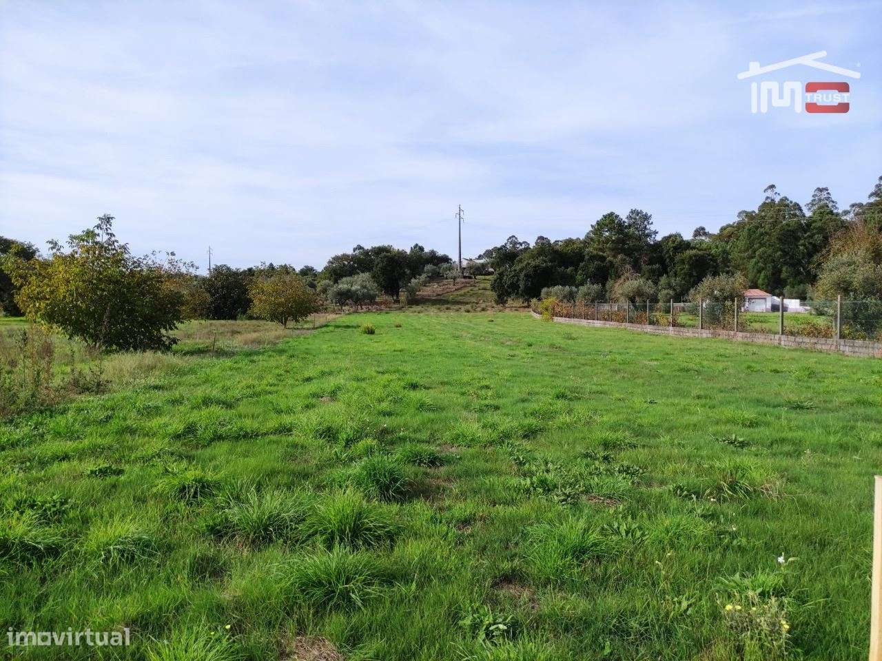 Terreno rústico com oliveiras. Possibilidade de construção. - Grande imagem: 3/4