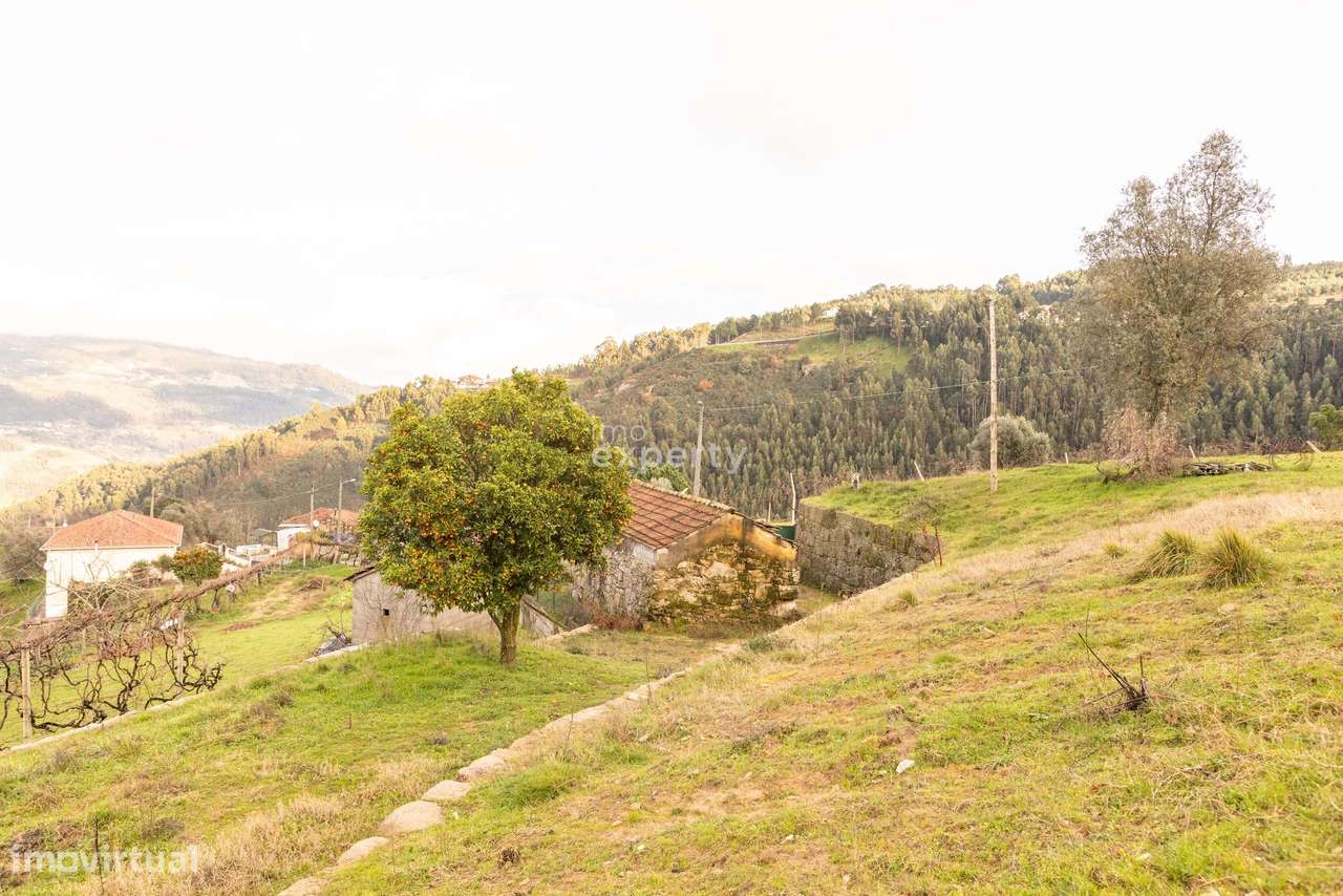 Terreno Urbanizável em Cinfães, Viseu - Grande imagem: 5/34