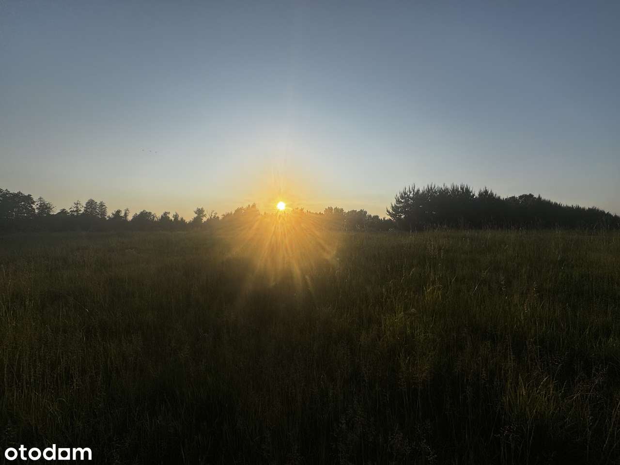 Działka budowlana w pobliżu lasu (200 metrów od jeziora)-6