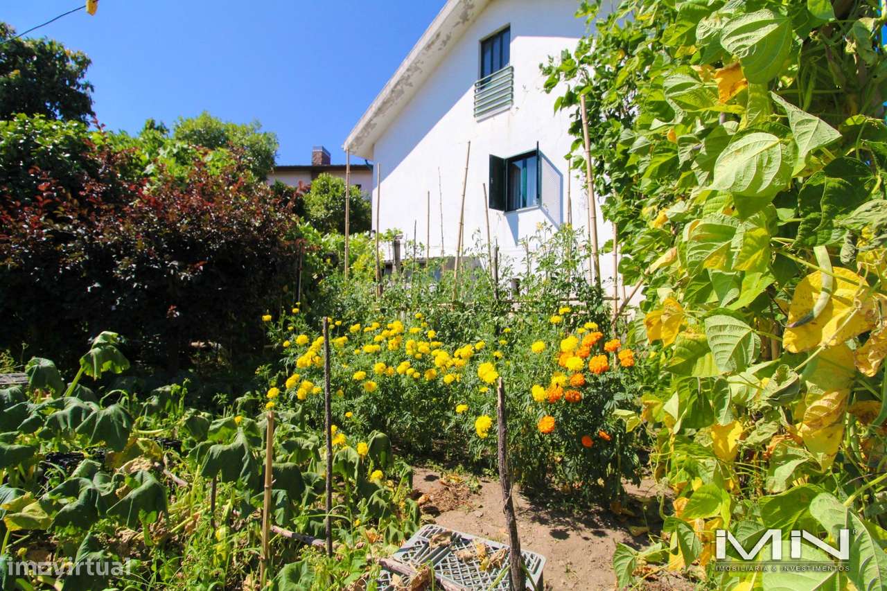 Mini Quinta com Construção Robusta, Poço, Adega e Viabilidade para Seg-32