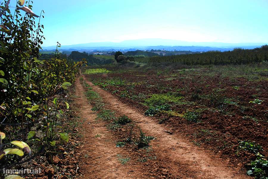 Terreno urbanizável, vista magnífica para Sul entre Óbidos e Bombarral-2