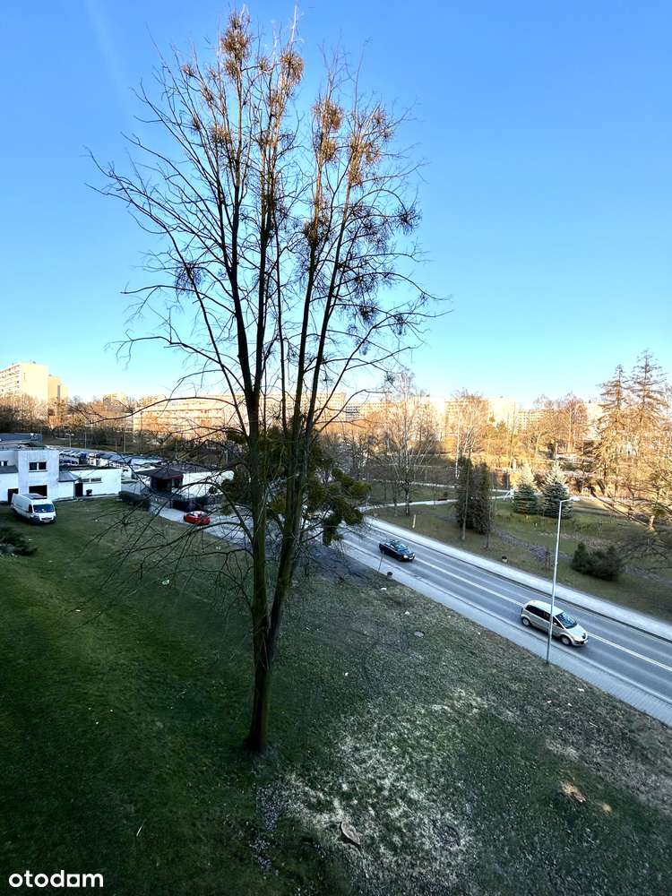 Mieszkanie z balkonem 37,5 m² – 2 piętro – Jastrzębie-Zdrój ul. Śląska-0