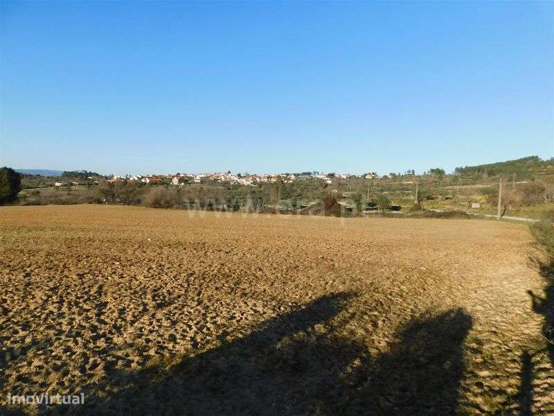 Terreno / Belmonte, Monte do Bispo - Grande imagem: 2/15