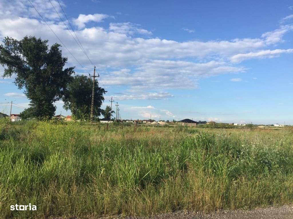 Teren intravilan in comuna Domnesti - sat Teghes - Imagine principală: 5/10