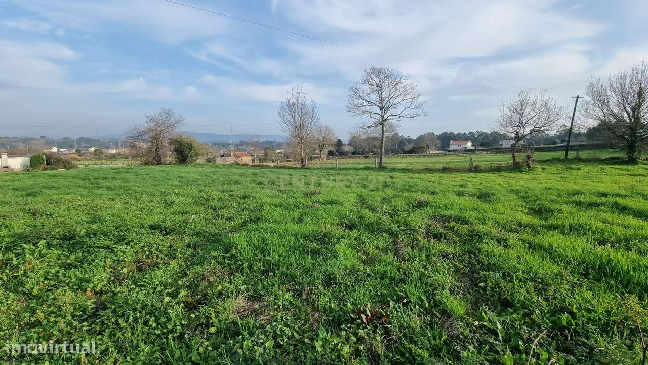 Terreno à Venda em Viana do Castelo - 4510m² por 190.000€ - Grande imagem: 5/16