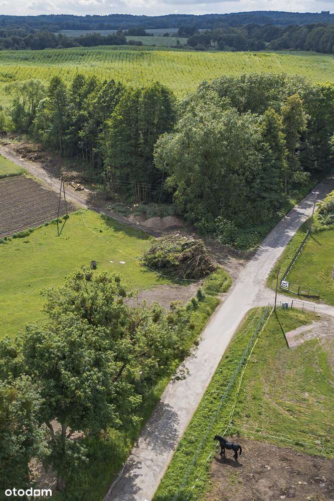 Działka na sprzedaż - Ryn, gmina Ostróda, Warmia i Mazury - Pełny obrazek: 4/4