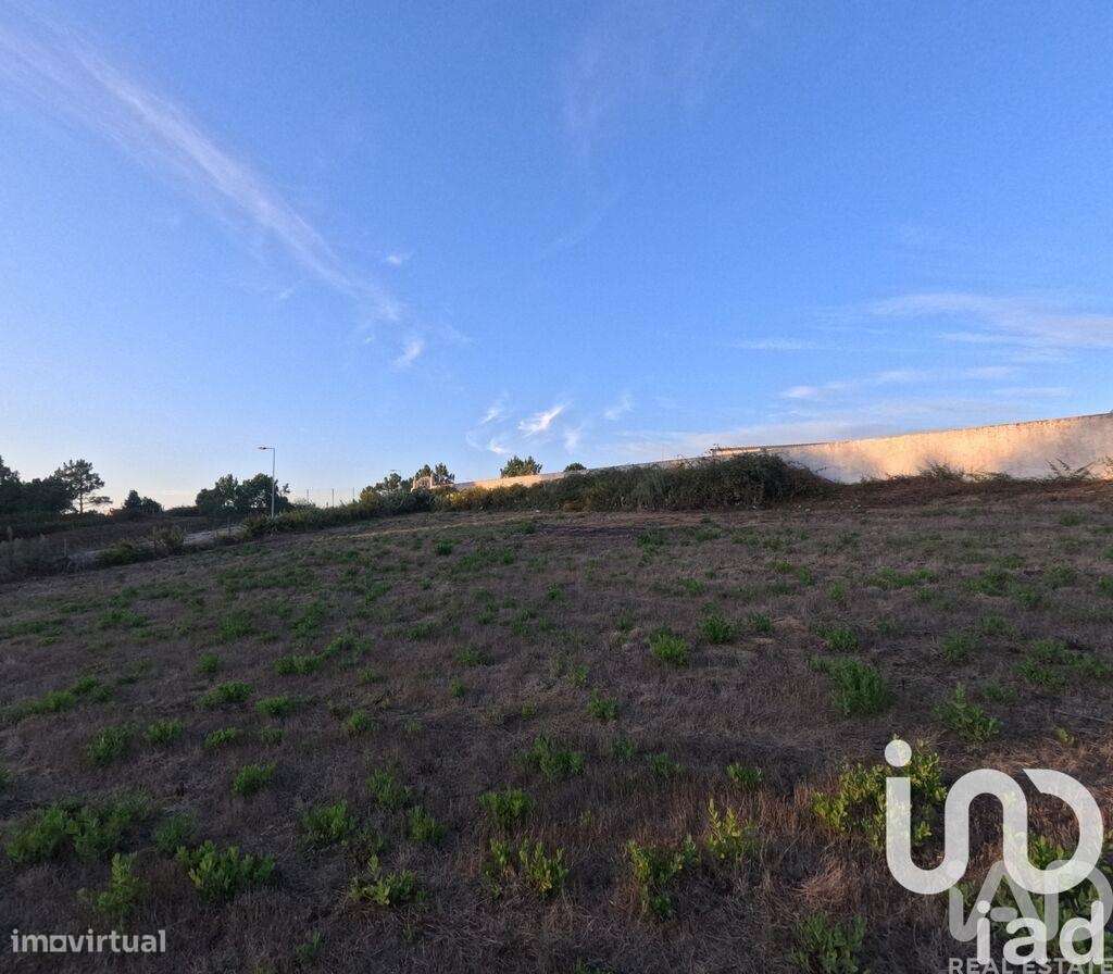 Terreno em Mafra - Grande imagem: 5/15
