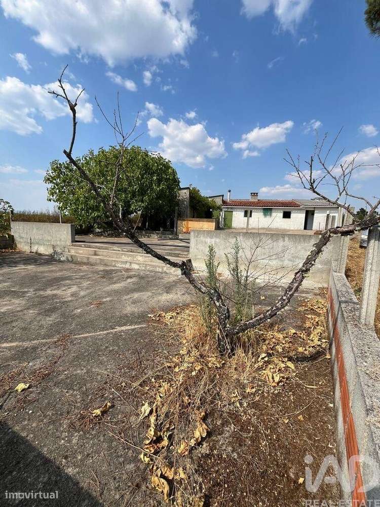 Casa / Villa T2 em Salgueiro do Campo de 133,00 m2 - Grande imagem: 3/30