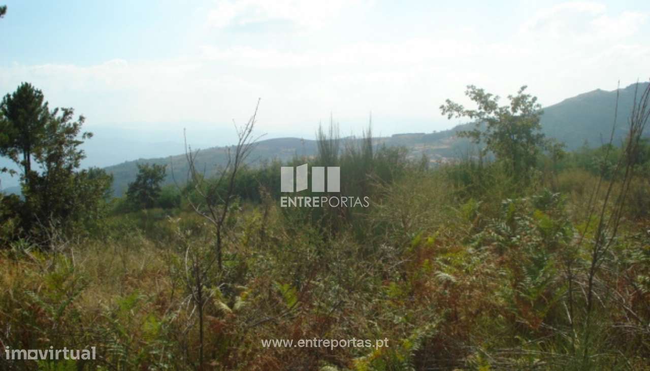 Venda Terreno, Gestaçô, Baião - Grande imagem: 3/4