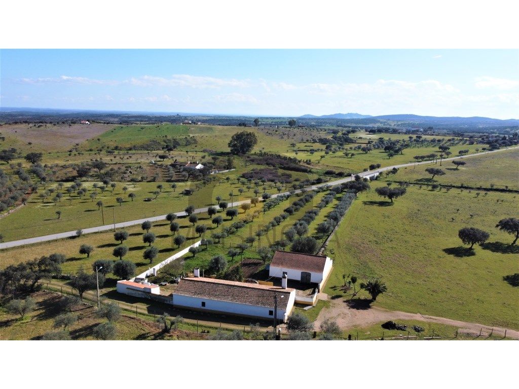 Herdade de 27ha c/ Monte Alentejano de 239m2 !