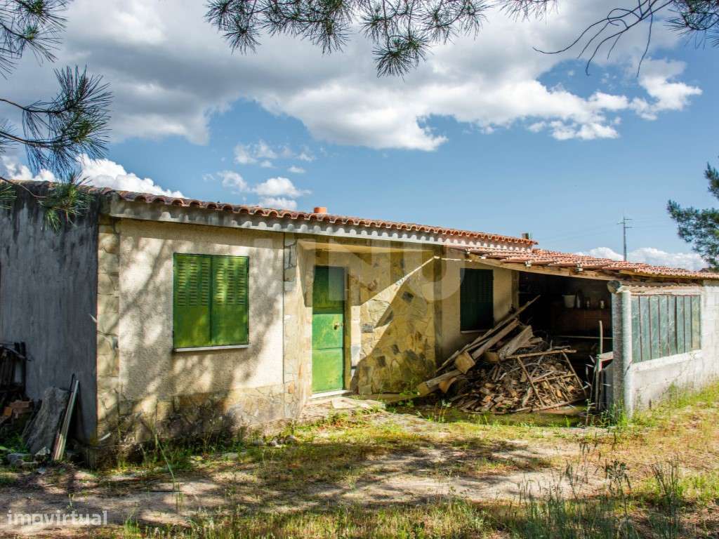 Terreno rústico em Monte do Bispo (Caria) com 1,15 ha. - Grande imagem: 3/8
