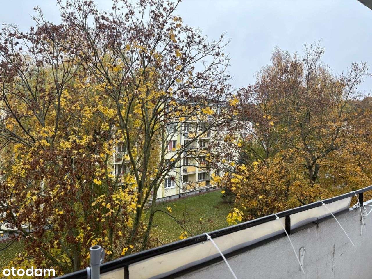 Mieszkanie - 47 m², 3 p. , Wróblewskiego, Puławy-11