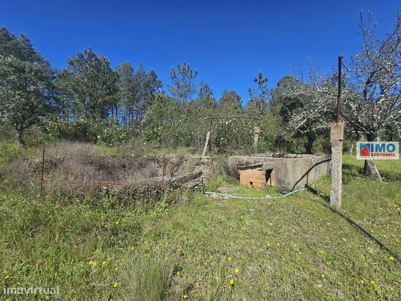 Quinta em Amarelos - 15 min. Castelo Branco - Grande imagem: 5/23