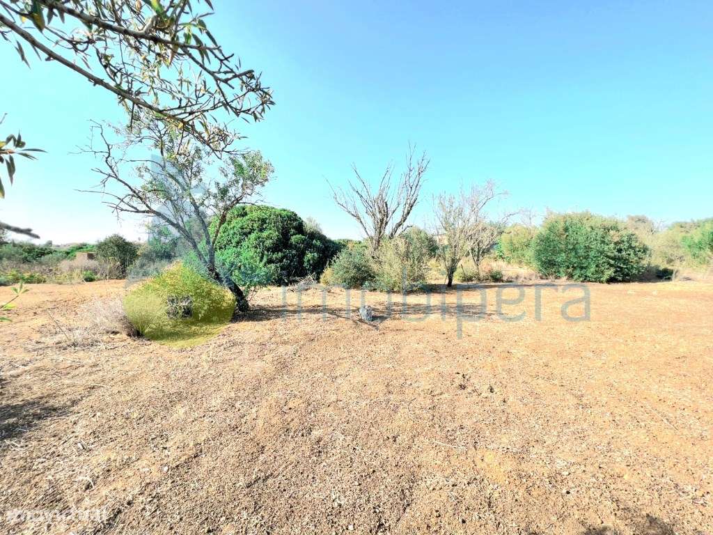 Terreno plano em zona rural, em Algoz, para agricultura e afins.-5