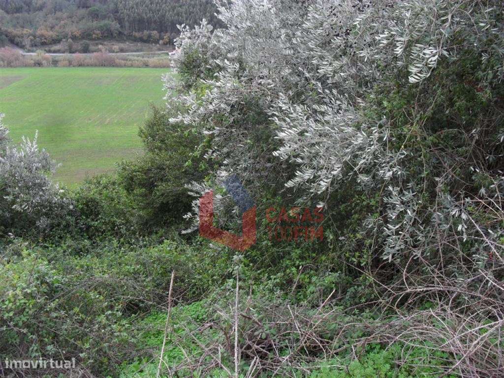 Terreno com 200 m2 , viabilidade de construção para 1 Moradia Isola... - Grande imagem: 5/6